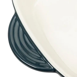 Tava de copt RESTO 96151, Albastru flexmag.md