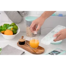 Tava pentru cuburi de gheata Ardesto AR1104TP Fresh Albastru flexmag.md