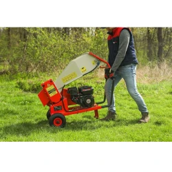 Tocator de crengi pe benzina Arpal AM-60BD flexmag.md