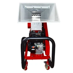 Tocator de crengi pe benzina Demetra DM-80BD flexmag.md