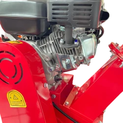 Tocator de crengi pe benzina TOGO TG-WS200S flexmag.md