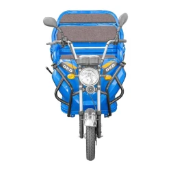 Tricicleta electrica DKD DKDL2E-U flexmag.md