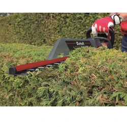 Trimmer de taiat gard viu Einhell GC-EH 6055-1 flexmag.md