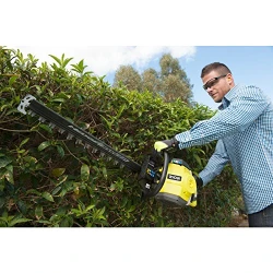 Trimmer de taiat gard viu pe benzina Ryobi RHT25X60RO flexmag.md