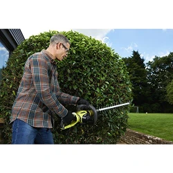 Кусторез Ryobi RHT5555RS flexmag.md