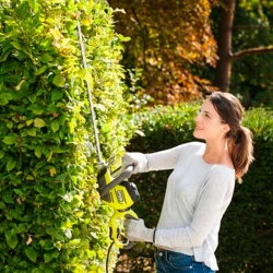 Кусторез Ryobi RHT5655RS flexmag.md