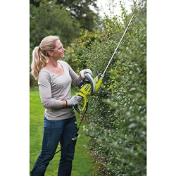 Кусторез Ryobi RHT6060RS flexmag.md