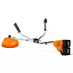 Триммер аккумуляторной батареи Daewoo DABC 4242Li SET flexmag.md