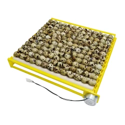 Tub pentru incubator de oua Demetra DM-64-512 flexmag.md