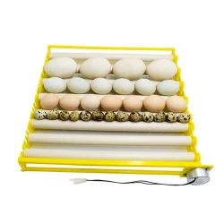 Tub pentru incubator de oua Demetra DM-64-512 flexmag.md