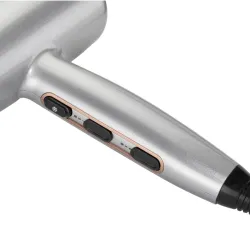 Фен BaByliss D580DE серебристый flexmag.md