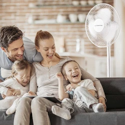 Ventilator cu picior Trotec TVE 23 S flexmag.md