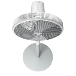Ventilator Philips CX2550-00, Alb - Gri flexmag.md